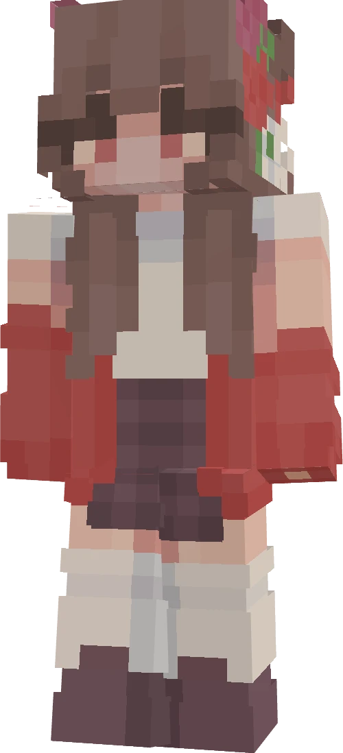 VanssArtPlay's skin