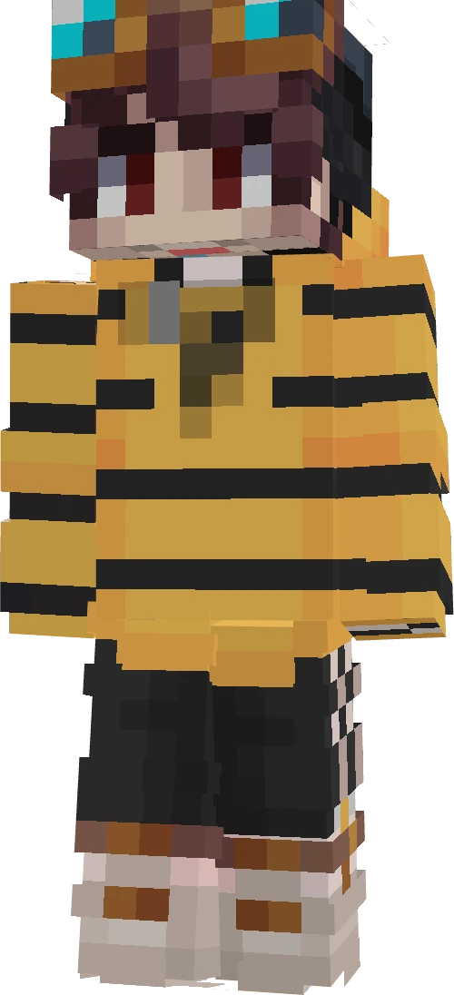 Hamsiaa's skin